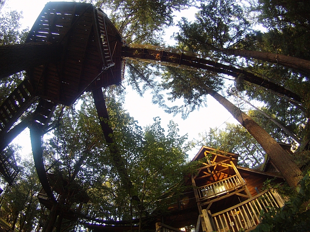 Oregon tree house bed and breakfast