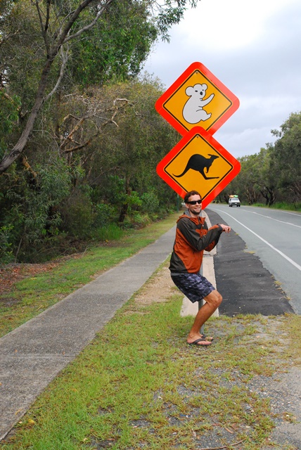 straddie 1