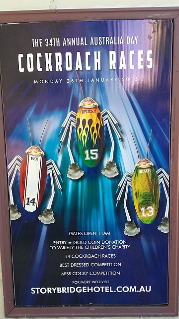 Living Brisbane cockroach race flyer Australia Day